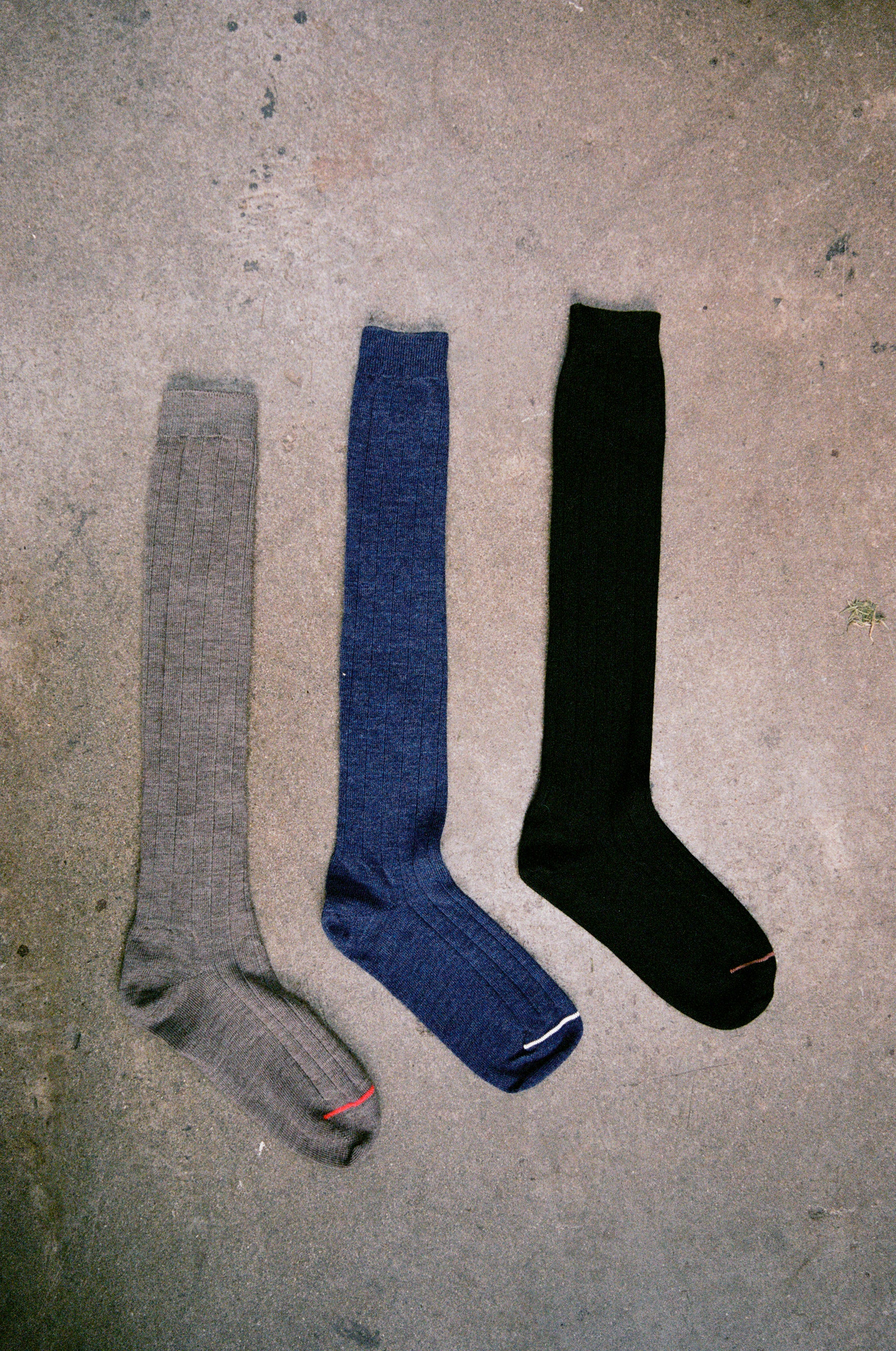 Tip Toe Knee High Sock - Sapphire / Creme Trim - Image 6